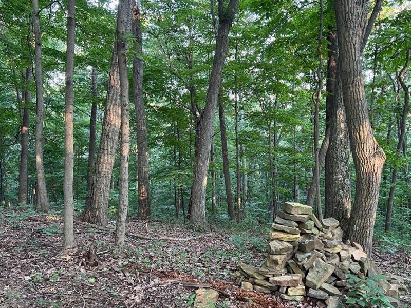 0 Tabernacle, Chillicothe, OH 45601 Photo 56