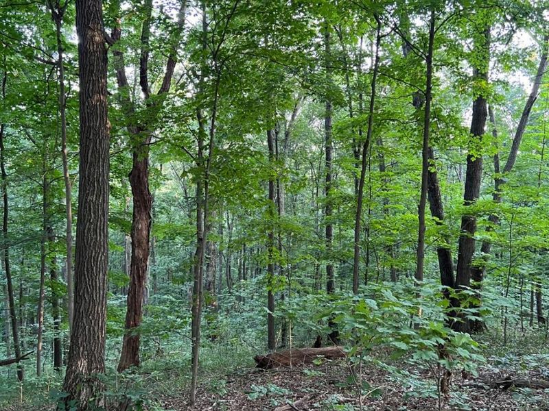 0 Tabernacle, Chillicothe, OH 45601 Photo 57