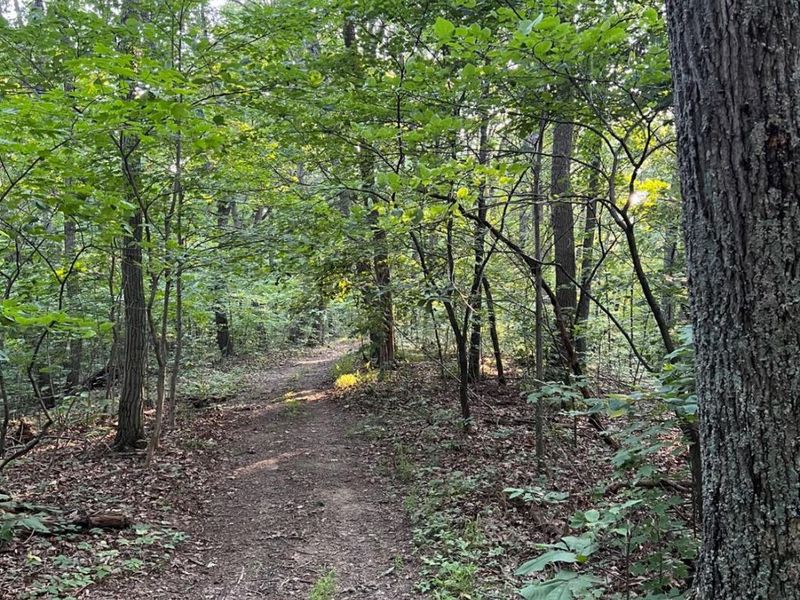 0 Tabernacle, Chillicothe, OH 45601 Photo 59