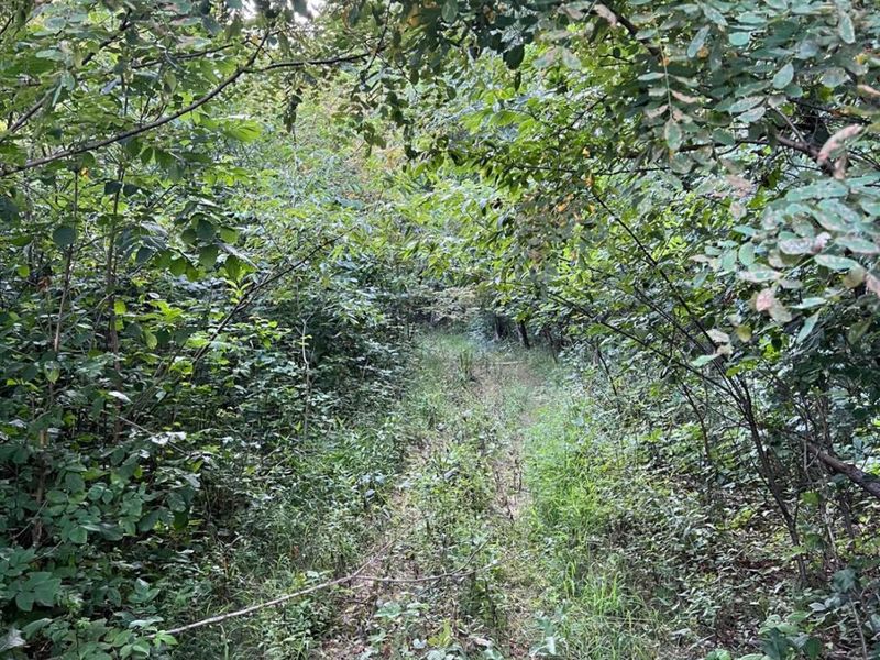 0 Tabernacle, Chillicothe, OH 45601 Photo 61