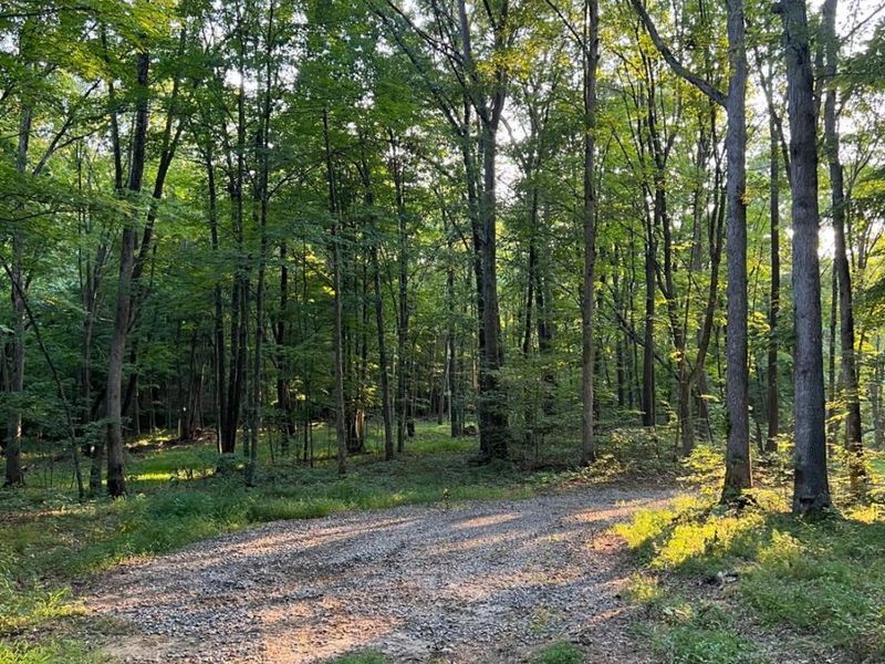 0 Tabernacle, Chillicothe, OH 45601 Photo 62