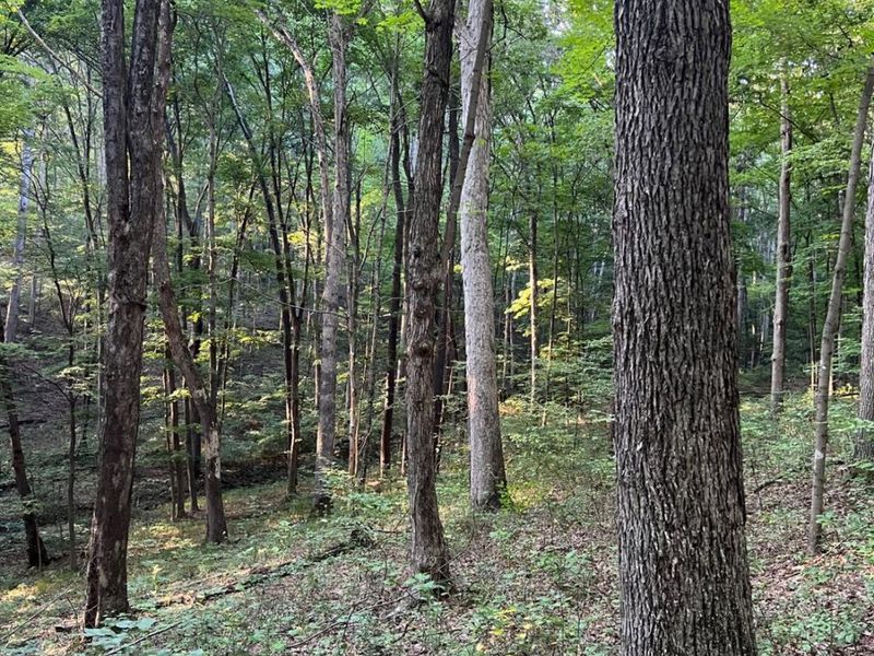 0 Tabernacle, Chillicothe, OH 45601 Photo 7