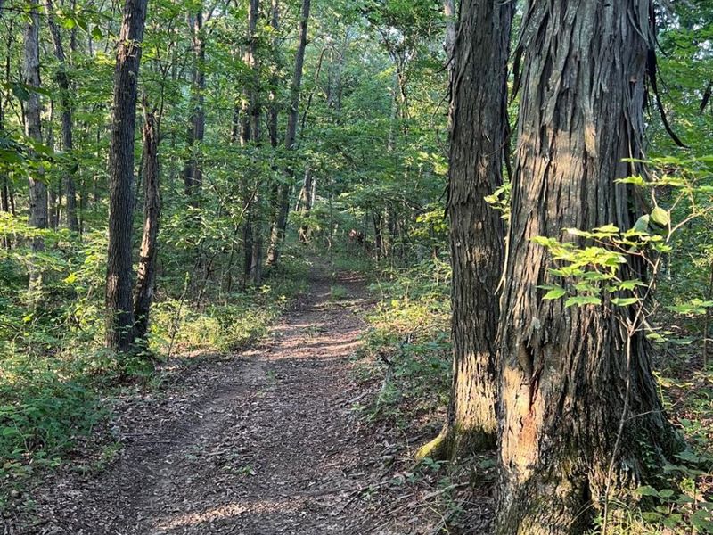 0 Tabernacle, Chillicothe, OH 45601 Photo 9