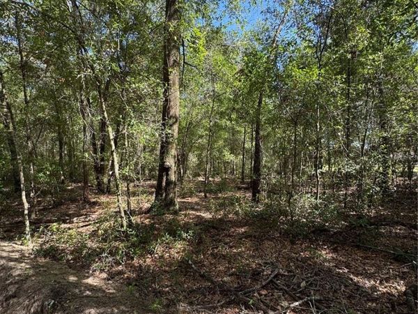 0 NW 14 STREET, OCALA, FL 34482