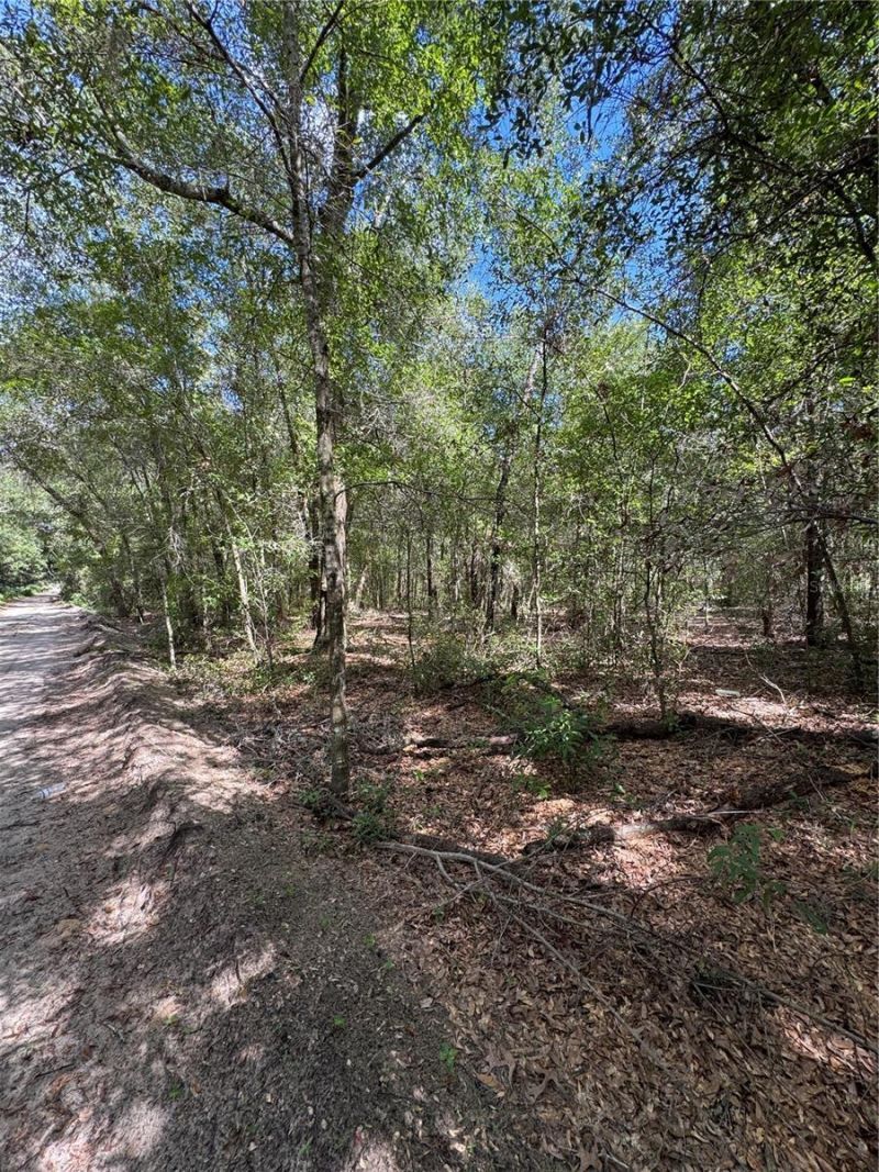 0 NW 14 Street, Ocala, FL 34482 Photo