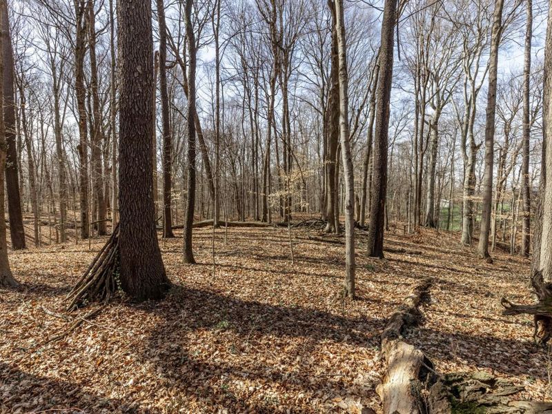 0 Lucille Drive NE, Lancaster, OH 43130 Photo 3