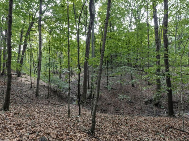 0 Lucille Drive NE, Lancaster, OH 43130 Photo 9