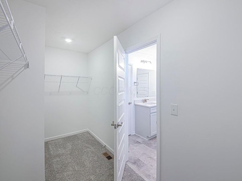 870 Ping Lane, Unit Lot 2448, Sunbury, OH 43074 Photo 18