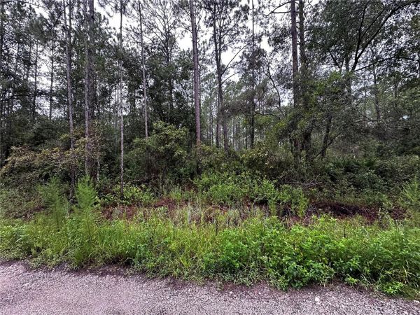 NE 66TH AVE, CITRA, FL 32113
