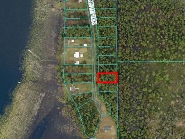 NE 117TH TERRACE, FORT MC COY, FL 32134