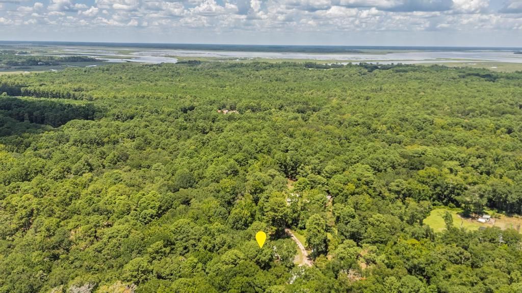 7886 Mary Seabrook Road Photo 32