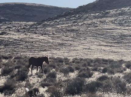 9325 Western Way, Stagecoach, NV 89429 Photo