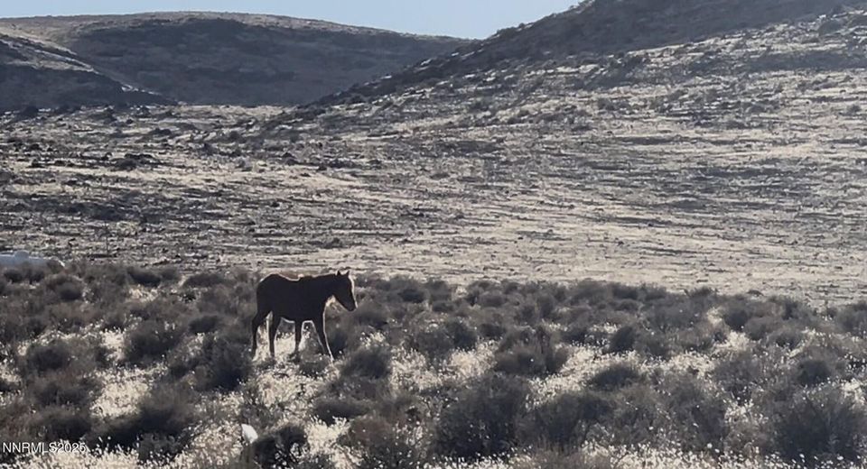 9325 Western Way, Stagecoach, NV 89429 Photo