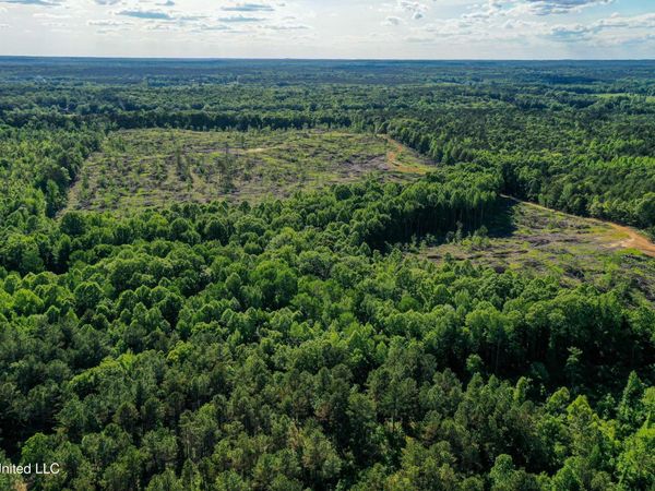 001 County Road 433, Thaxton, MS 38871