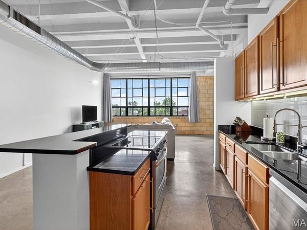 1720 Chouteau Avenue, Unit 302, St Louis, MO 63101