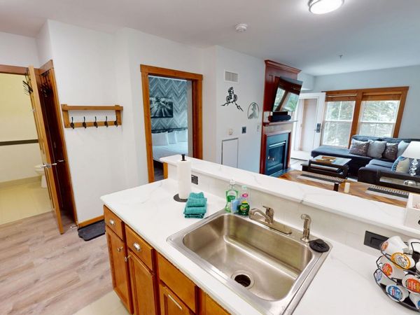 141 Allegheny Springs Ln, Snowshoe, WV 26209