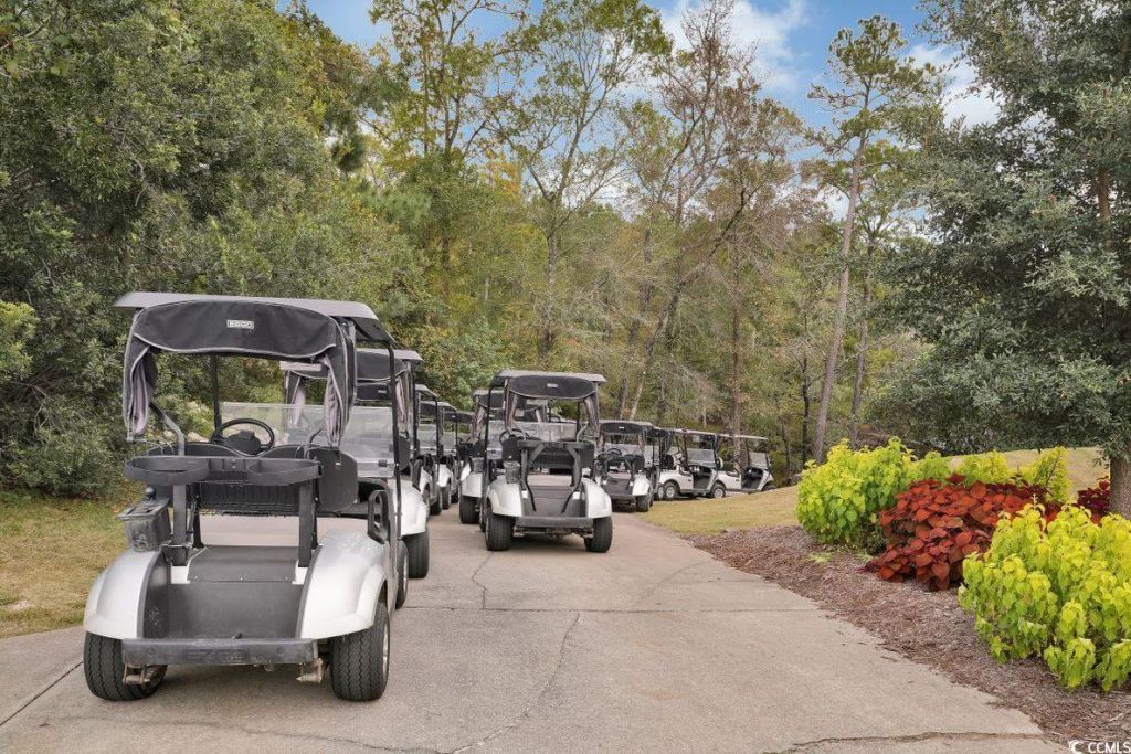 997 Cherrystone Loop Photo 32