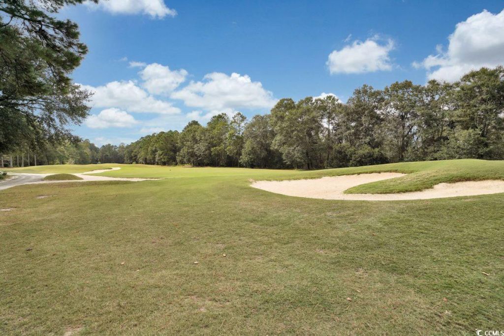 997 Cherrystone Loop Photo 34