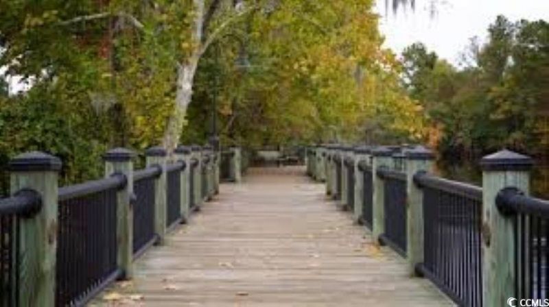 997 Cherrystone Loop Photo 37