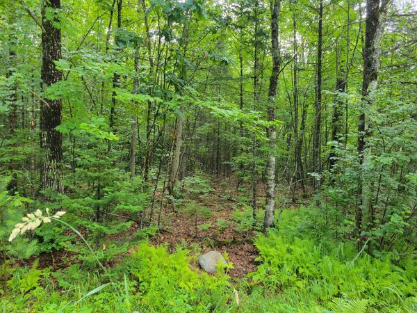 23 Union Hill Road, Stow, ME 04037