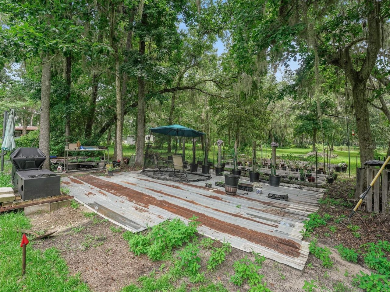 12651 W Highway 318, Williston, FL 32696 Photo