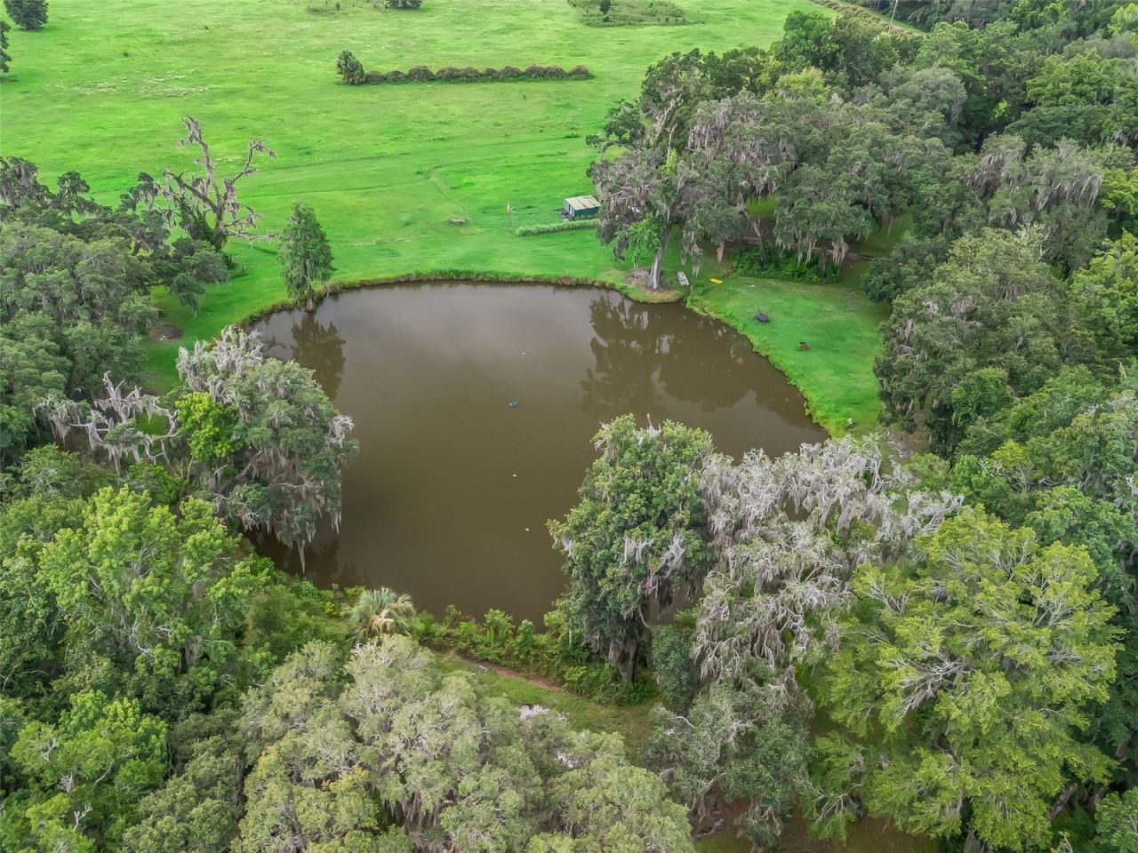 12651 W Highway 318, Williston, FL 32696 Photo