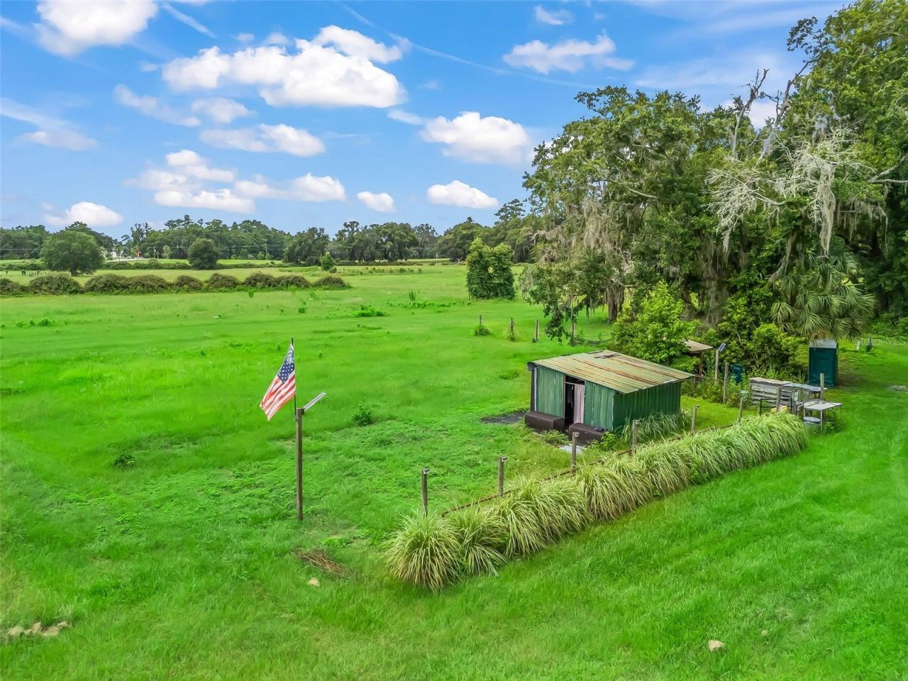 12651 W Highway 318, Williston, FL 32696 Photo