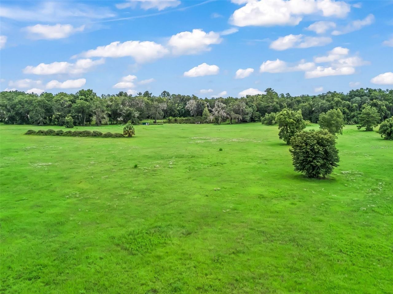 12651 W Highway 318, Williston, FL 32696 Photo