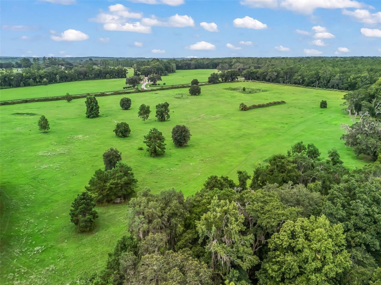 12651 W Highway 318, Williston, FL 32696 Photo