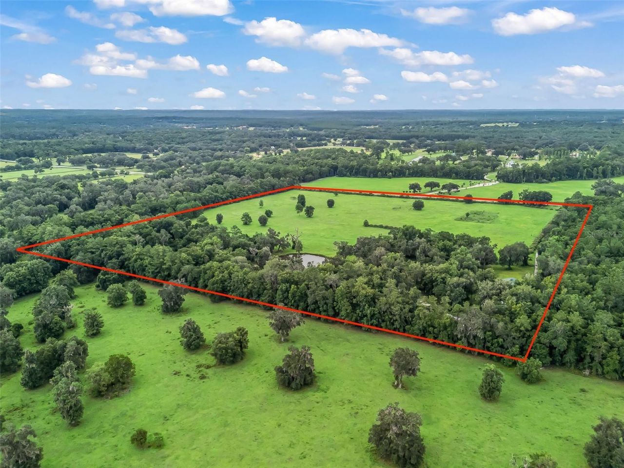 12651 W Highway 318, Williston, FL 32696 Photo