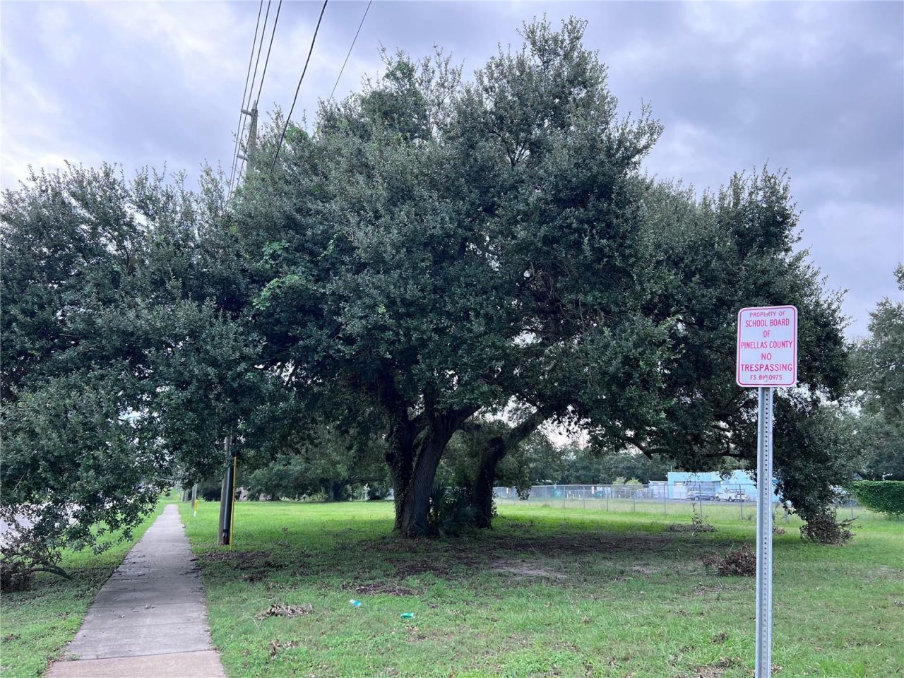 1302 Sunset Pt Rd, Clearwater, FL 33755 Photo