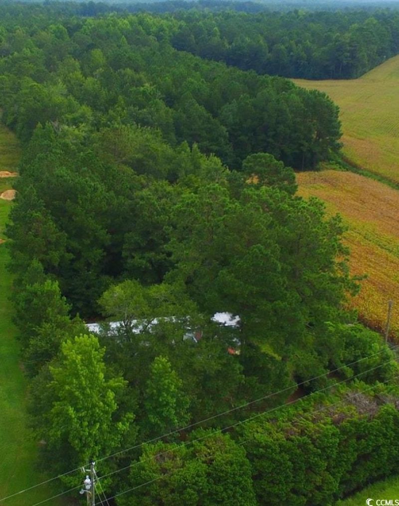 2187 Armview Rd. Photo 5