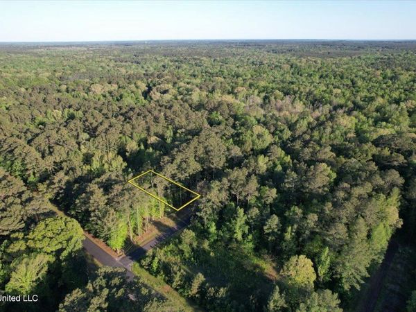 Donna Ashley Street, Brandon, MS 39042