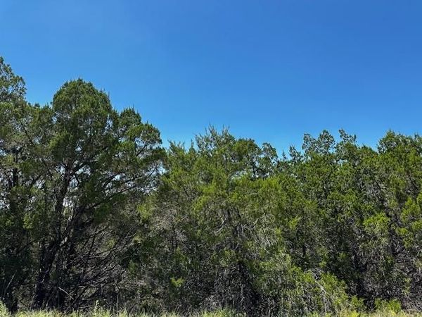 8406 Bronco LN, Lago Vista, TX 78645