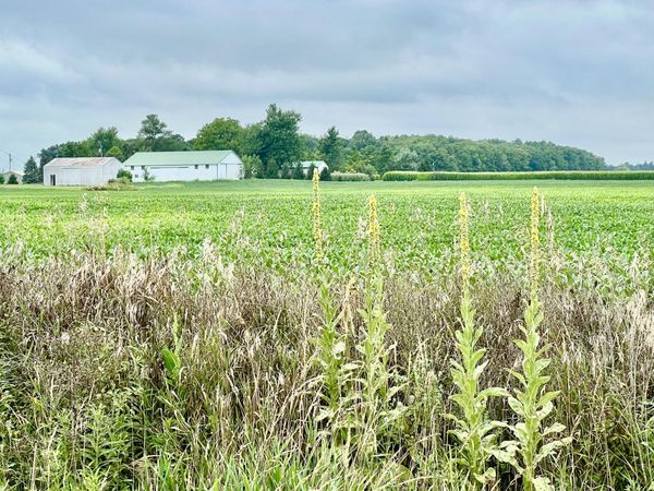 10800 South Road, Waldron, MI 49288