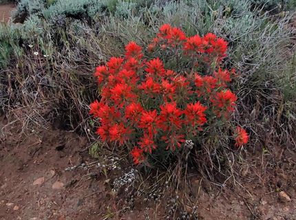 3304 High Rock Road, Gerlach, NV 89412 Photo