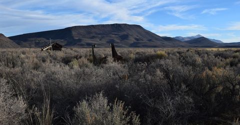 3304 High Rock Road, Gerlach, NV 89412 Photo