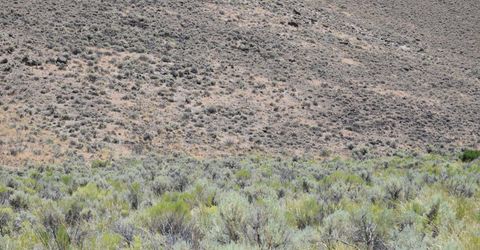 3304 High Rock Road, Gerlach, NV 89412 Photo