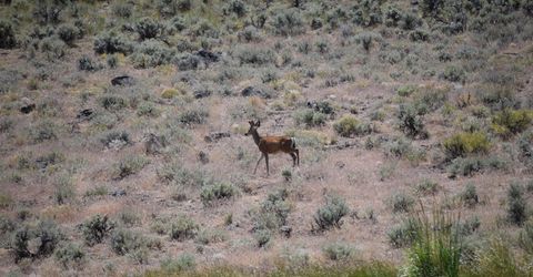 3304 High Rock Road, Gerlach, NV 89412 Photo