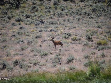 3304 High Rock Road, Gerlach, NV 89412 Photo