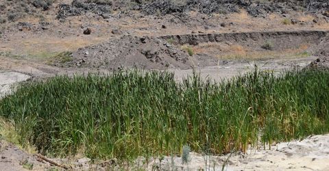 3304 High Rock Road, Gerlach, NV 89412 Photo