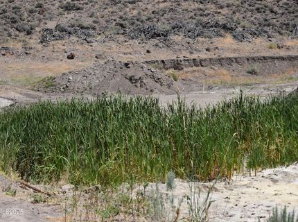 3304 High Rock Road, Gerlach, NV 89412 Photo