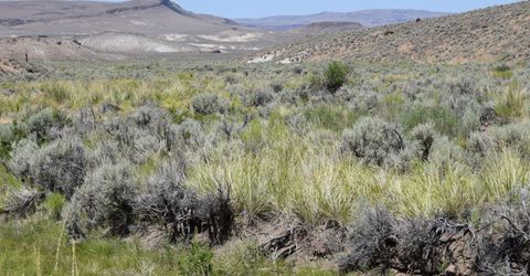 3304 High Rock Road, Gerlach, NV 89412 Photo