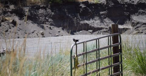 3304 High Rock Road, Gerlach, NV 89412 Photo