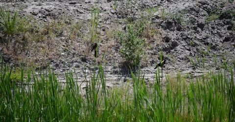 3304 High Rock Road, Gerlach, NV 89412 Photo