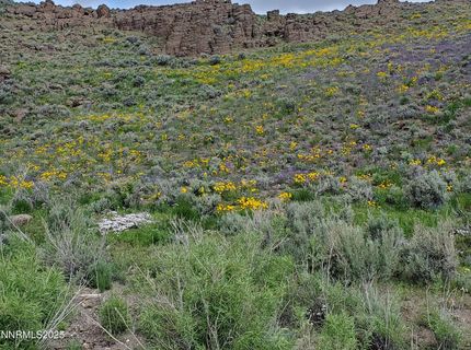 3304 High Rock Road, Gerlach, NV 89412 Photo