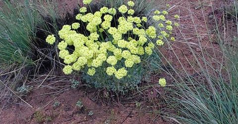 3304 High Rock Road, Gerlach, NV 89412 Photo