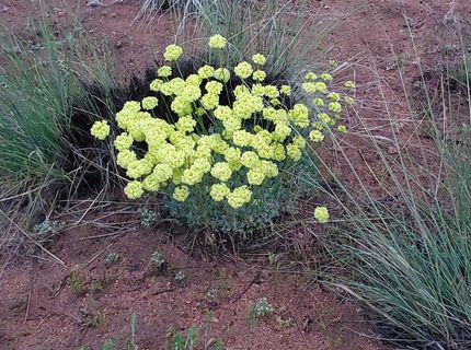 3304 High Rock Road, Gerlach, NV 89412 Photo