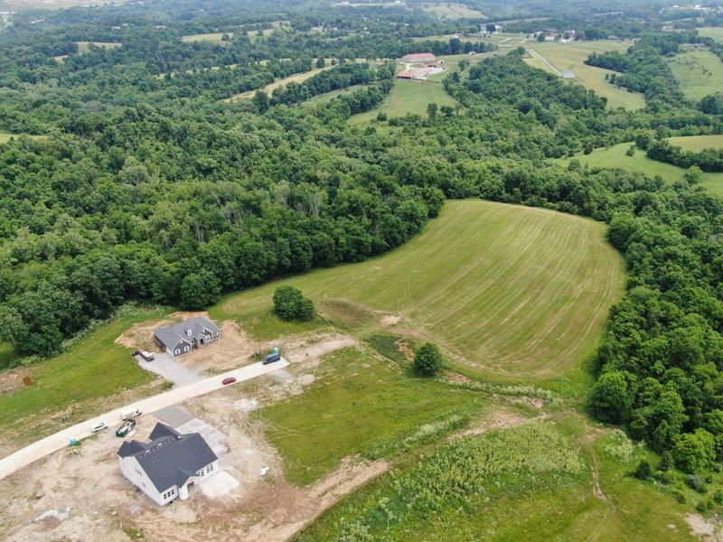 2559 Westborne Drive, Verona, KY 41092 Photo 5