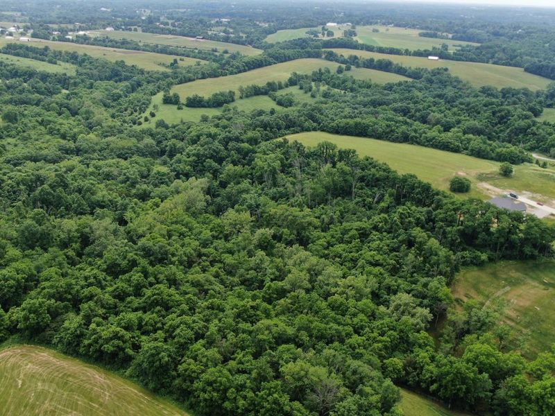 2559 Westborne Drive, Verona, KY 41092 Photo 7